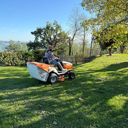 Sicar Montefiore Conca