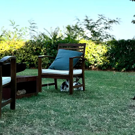 Guest house Sicar *