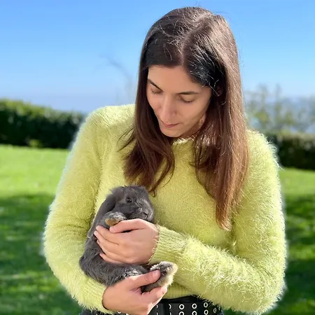 Vendégház Sicar Montefiore Conca