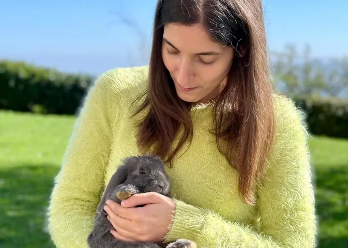 Πανσιόν Sicar Montefiore Conca