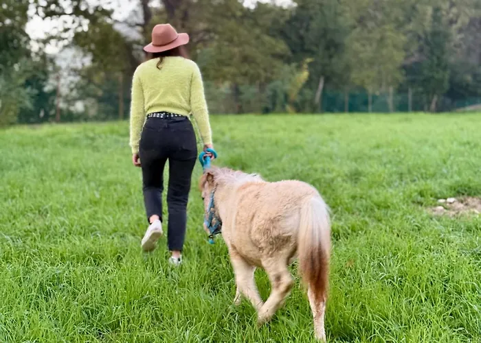 Sicar Πανσιόν Montefiore Conca