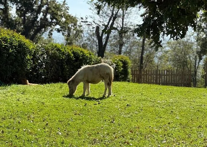 Πανσιόν Sicar